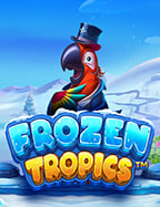 การเล่นพนัน ไก่ชน อย่างเซียน คอพนันต้องลอง